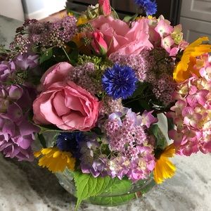 Meet your Posher, Kerry